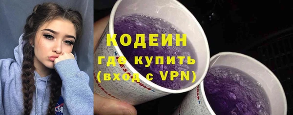 МДПВ Елабуга