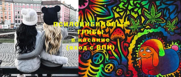 винт Елизово