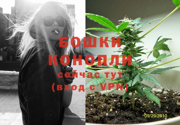 стафф Заволжье