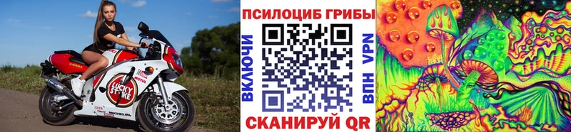 Псилоцибиновые грибы ЛСД  Купить закладки  Губкин 