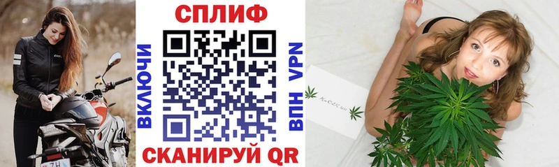 Конопля сатива  Купить где  Губкин 